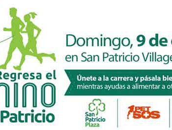 3k Nino de San Patricio 2016