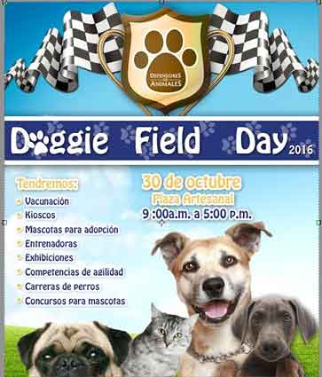 Doggie Field Day 2016