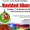 parada-navidena-cabo-rojo-2016-a-miagendapr