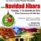 parada-navidena-cabo-rojo-2016-b-miagendapr