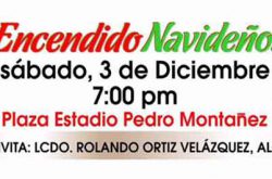 Encendido Navideño de Cayey 2016