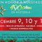 festival-navideno-de-palomas-en-comerio-2016a-miagendapr