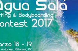 Surfing and Bodyboarding Contest 2017