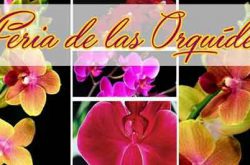 9na Feria de las Orquídeas en Dorado 2017