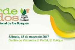 Día Internacional de los Bosques 2017