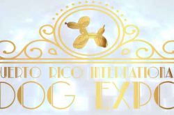 Puerto Rico International Dog Expo 2017