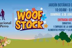 Día Nacional del Perro Purina Woof Stock 2017