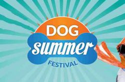 Dog Summer Festival 2017