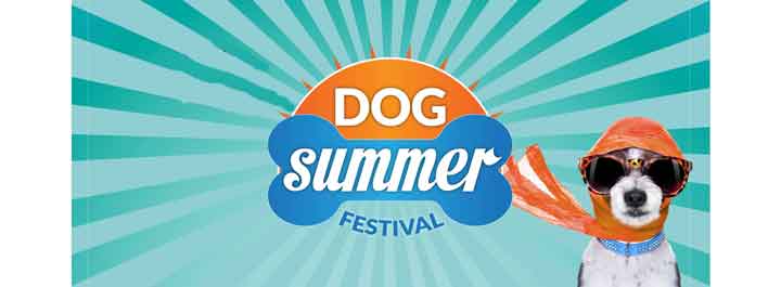 Dog Summer Festival 2017