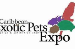 Caribbean Exotic Pets Expo 2017