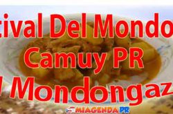 Festival Del Mondongo En Camuy 2017