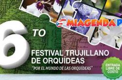 Sexto Festival de Orquídeas 2017 en Trujillo Alto