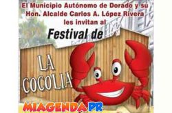 Festival de la Cocolía 2017 en Dorado