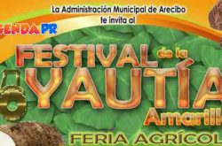 Festival de la Yautía Amarilla 2017