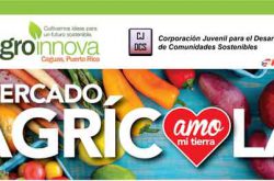 Mercado Agrícola y Artesanal en Caguas