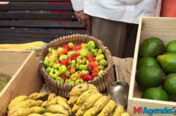 Mercado Orgánico en la Placita Roosevelt