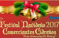 Festival Navideño en Cidra 2017