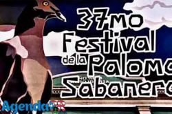 Festival de la Paloma Sabanera en Cidra 2017