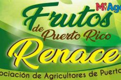 Feria Agrícola Frutos de Puerto Rico Renace 2018