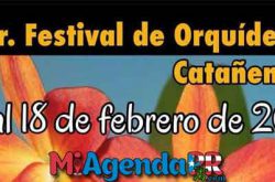 Festival de Orquídeas en Cataño 2018