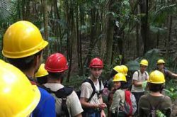 Día Internacional de los Bosques 2018