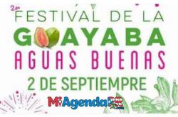 Festival de la Guayaba 2018 en Aguas Buenas