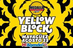 Medalla Light Yellow Block 2018