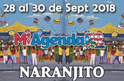 Fiestas Patronales de Naranjito 2018