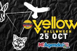 Medalla Light Yellow Halloween 2018