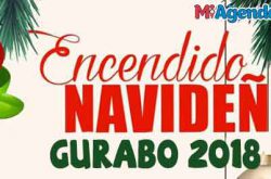 Encendido Navideño en Gurabo 2018