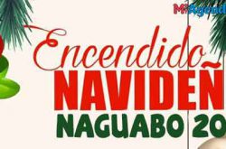 Encendido Navideño en Naguabo 2018