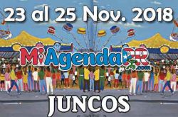 Majestuosas Fiestas de Pueblo en Juncos 2018