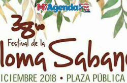 Festival de la Paloma Sabanera en Cidra 2018