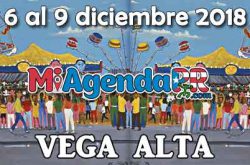 Fiestas Patronales de Vega Alta 2018