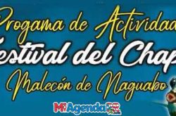 Festival del Chapín en Naguabo 2019