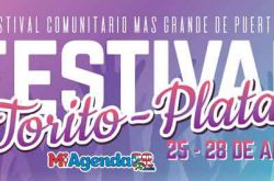 Festival Torito Plata de Cayey 2019