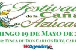 Festival de la Caña de Azúcar en Hatillo 2019