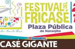 Festival del Fricasé en Naranjito 2019