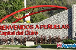 Festival del Güiro de Peñuelas 2019