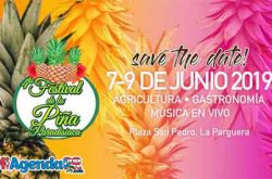 Festival de la Piña Paradisíaca 2019