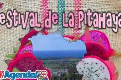 Festival de la Pitahaya en Arroyo 2019