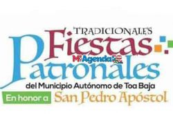 Fiestas Patronales de Toa Baja 2019