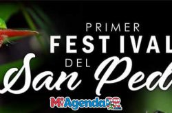 1er Festival del San Pedrito en Adjuntas 2019