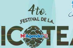 4to Festival de la Jicotea 2019 en Cataño