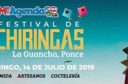 Primer Festival de Chiringas en la Guancha 2019