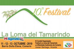 Festival La Loma del Tamarindo 2019