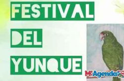 5to Festival del Yunque 2019