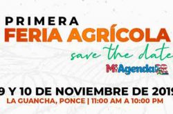 Primera Feria Agrícola en La Guancha 2019
