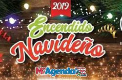 Encendido Navideño en Naguabo 2019