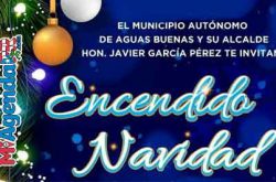 Encendido de la Navidad en Aguas Buenas 2019